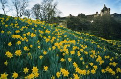 Edinburgh Castle